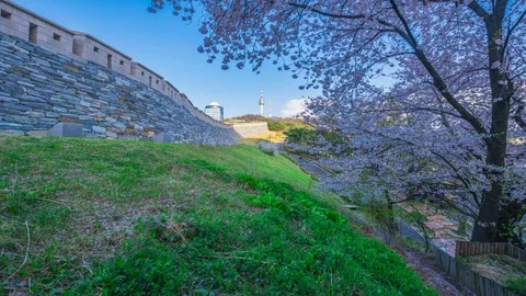 Timelapse Twilight Seoul Tower in Spring at south korea Stock Footage 106944596