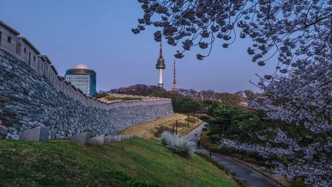 Timelapse Twilight Seoul Tower in Spring at south korea Stock Footage 106944616