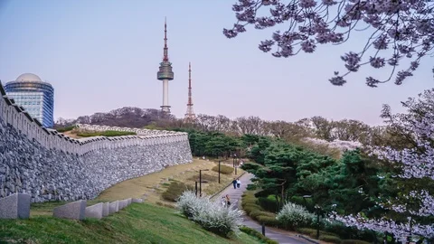 Timelapse Twilight Seoul Tower in Spring at south korea Stock Footage 106945694