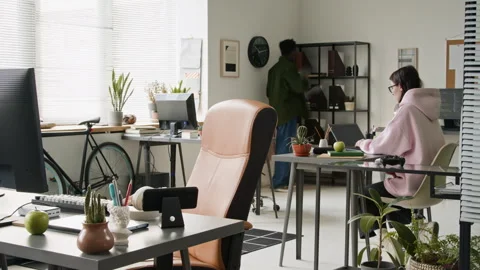 Timelapse of Two Diverse Software Developers Working Together in Office Stock Footage 335939405