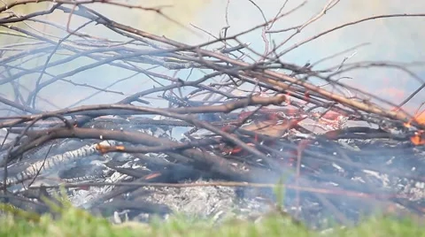 Timelapse ultra closeup fire Stock Footage 49732773