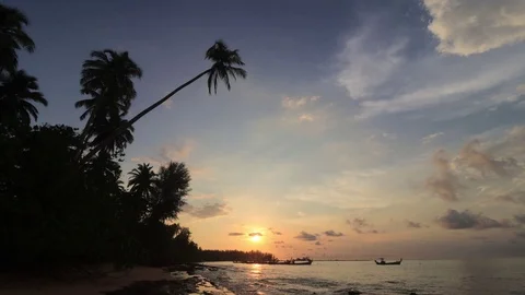 Timelapse video beach and palms Video stock 129679254