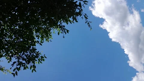 Timelapse video of clear blue sky with clouds Stock Footage 245467242