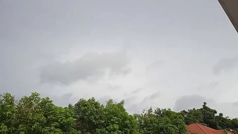 Timelapse Video of Clouds Walking on Green Tree Leaves Swaying in the Wind Stock Footage 304963558