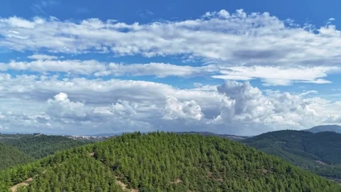Timelapse video of cloudscape over pine tree forest. Aerial drone view Stock Footage 286996598
