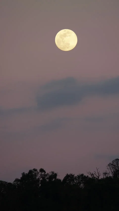 Timelapse video of full moon rising over Taipei city skyline at twilight Stockbeeldmateriaal 341004811