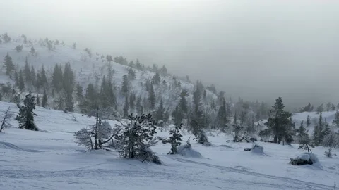 Timelapse video with a landscape view of a snow-covered gentle hillside Stock-Footage 176760678