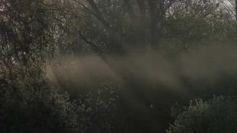 Timelapse video of Sun Видео 77679167