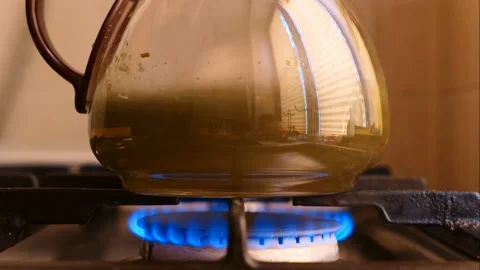 Timelapse video of tea brewing using blue gas flame Stock Footage 137020984