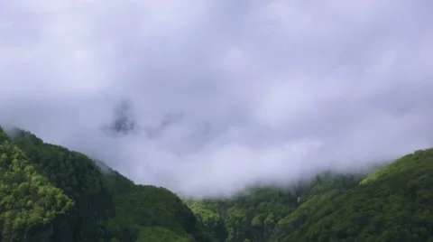 Timelapse view, Clouds, trees and mountains in the Swiss Alps Stock Footage 49929201