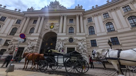 Timelapse view of horses in Michaelerplatz in central Vienna Stock Footage 114216557