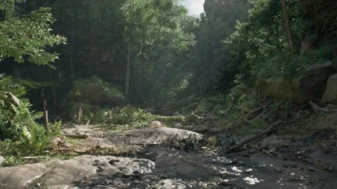 Timelapse View Over A Beautiful Lush Green Jungle Stock Footage 259763006