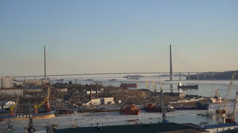Timelapse with a view of the Russian bridge 库存影片 124045266