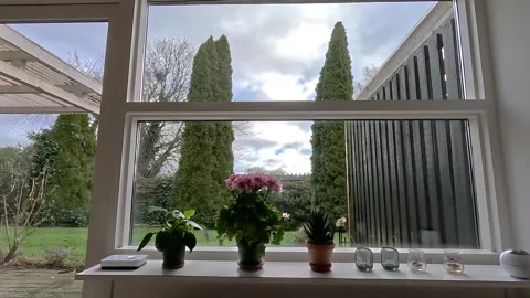Timelapse. View from the window on clouds and on a green garden. Stock Footage 311002449