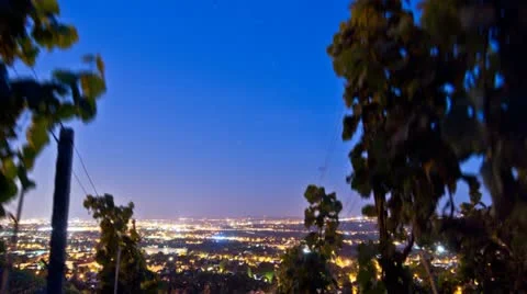 Timelapse in Vineyard Stock Footage 11888582