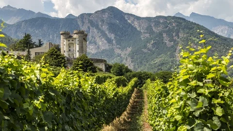 Timelapse Vineyards and Castle in Aymavilles Aosta Valley Stock Footage