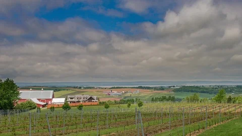 Timelapse of vineyards &amp; rolling farmland on a bright summer day in Nova Scotia Stock Footage 111482007