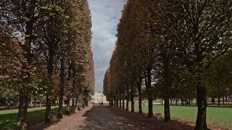 Timelapse of visiting Luxembourg Gardens. Tree lined promenade and Palace, Paris Stock Footage 88996892