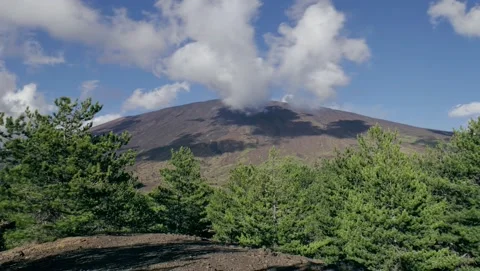 Timelapse volcanic landscape Sicily clouds moving Etna Volcano young trees pines Vídeos de archivo 146616930