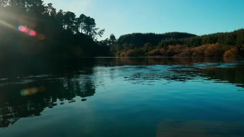 Timelapse of Waikato river Stock Footage 250140029