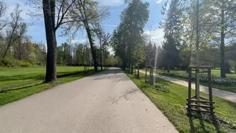 A timelapse of a walk along a path in a park on a sunny spring day. Stock Footage 239638891