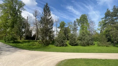 A timelapse of a walk along a path in a park on a sunny spring day. Stock Footage 239638892