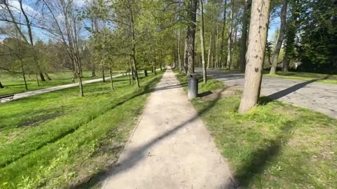 A timelapse of a walk along a path in a park on a sunny spring day. Stock Footage 239638894