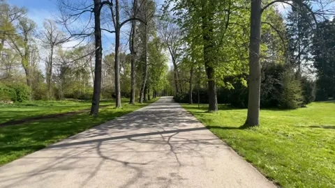 A timelapse of a walk along a path in a park on a sunny spring day. Stock Footage 239638941