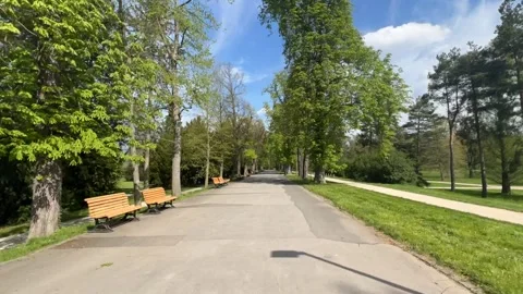 A timelapse of a walk along a path in a park on a sunny spring day. Stock Footage 239638970