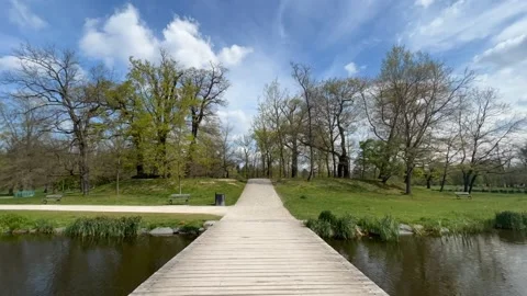A timelapse of a walk along a path in a park on a sunny spring day. Stock Footage 239638972