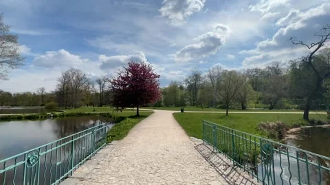 A timelapse of a walk along a path in a park on a sunny spring day. Stock Footage 239638986