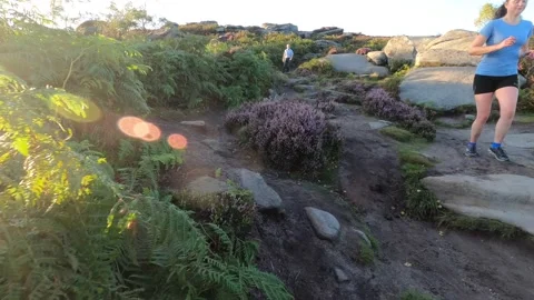 Timelapse walk in Derbyshire Stock Footage 146519475