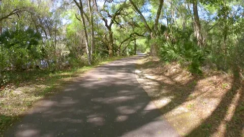 Timelapse walk through Fort Cooper State Park paved trail - Inverness, Florida Stock Footage 180210276