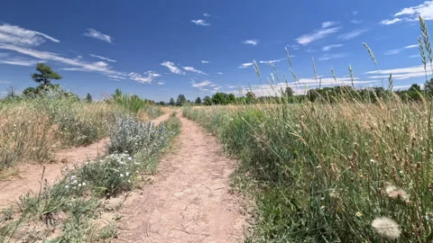 Timelapse walking through a hiking trails Stock Footage 281514198