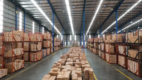 Timelapse Warehouse Lift Trucks Stacking Boxes Vídeo Stock 248526950