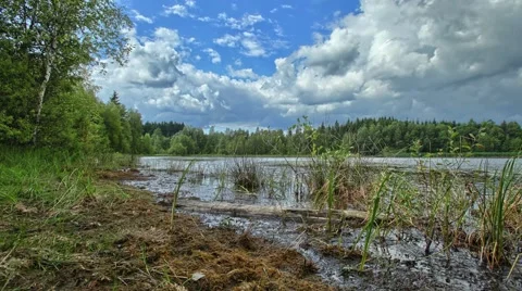Timelapse with water and grass 스톡 동영상 67862857
