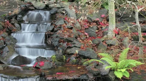 Timelapse of Waterfall in Backyard Garden in Late Autumn 1080p 動画素材 12617359