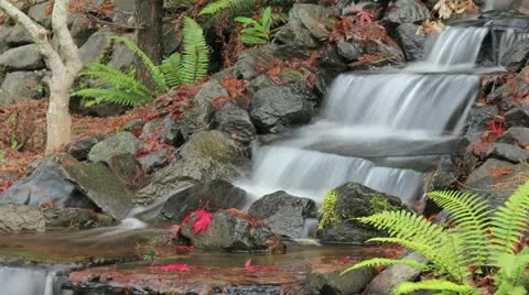 Timelapse of Waterfall in Backyard Garden in Late Autumn 1080p Stock Footage 12617375