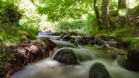 Timelapse waterfall Stock Footage 169722406