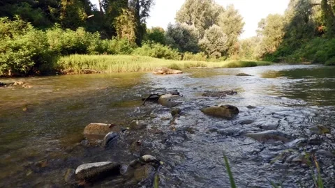 Timelapse on the waters of the river Secchia 4K - Italian nature Video stock 138459402