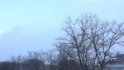 Timelapse weather changes during sudden snowstorm Vídeos de archivo 123360321