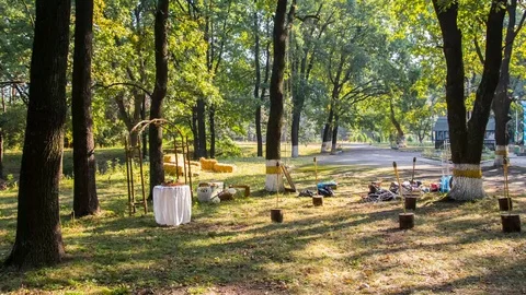 Timelapse wedding decoration in the forest UHD Stock Footage 69767498