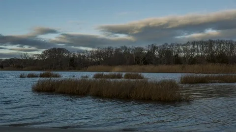 Timelapse of wetland in dramatically changing light Video stock 71541710