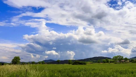 Timelapse wheatfield with nices clouds Stock Footage