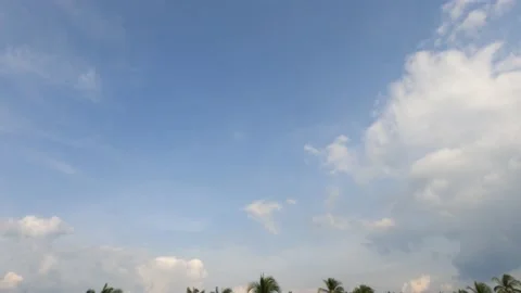 TimeLapse of white cloud n cloudscape on sunny blue sky at palm tree forest Stock Footage 149024632
