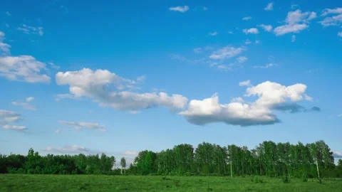 Timelapse of white clouds above the green trees in the nice summer weather Stock Footage 133121533
