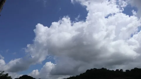Timelapse : White clouds above the lake Stock Footage 242570812