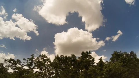 Timelapse White Clouds Blue Sky Green Trees 库存影片 117128052