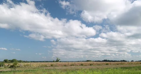 Timelapse of white clouds in blue sky over farmland, sunny summer day Stock Footage 254251533