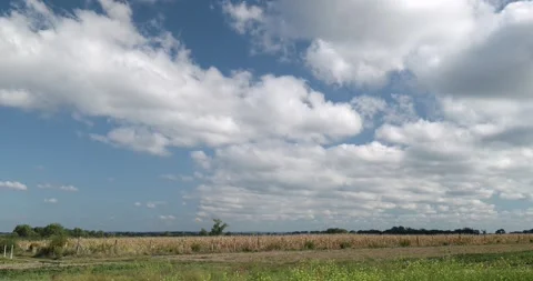 Timelapse of white clouds in blue sky over farmland, sunny summer day Stock Footage 254254170